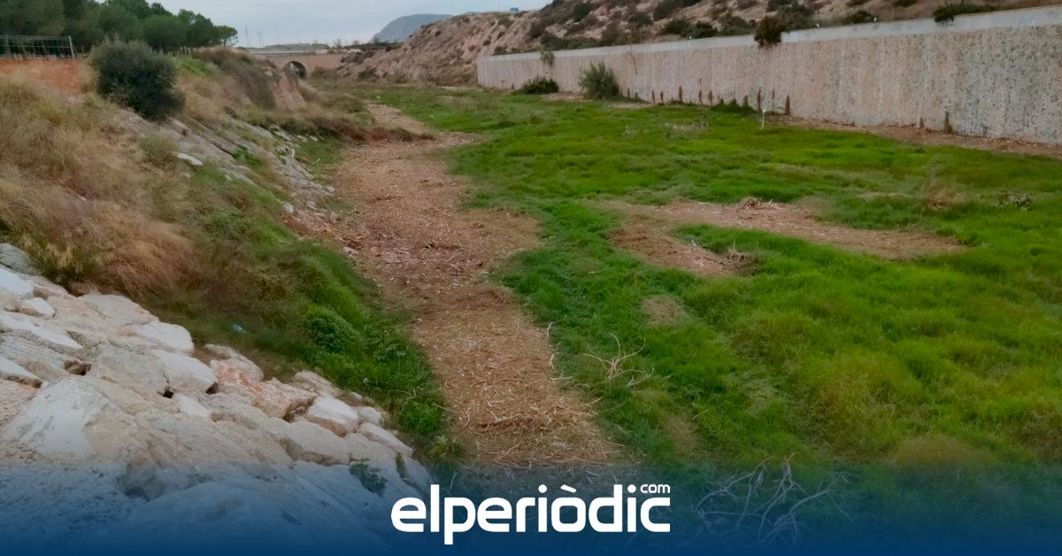 Alicante Completa La Limpieza Del Tramo Del Barranco De Las Ovejas