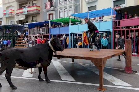 Bous al carrer en Alicante: varias poblaciones celebran actos taurinos en abril y mayo
