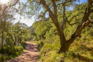 Turismo activo: senderos de Castellón que vuelven a la vida con apoyo de la Generalitat Valenciana
