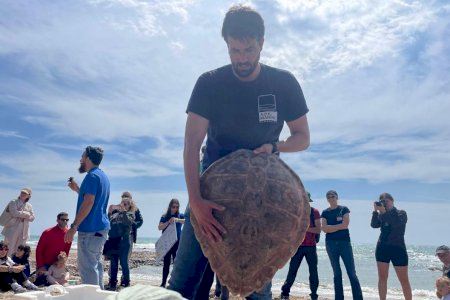 Éxito en la jornada de voluntariado de Oropesa: Recogen más de 100 kilos de residuos y devuelven al mar a la tortuga Francis