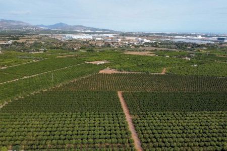 La Unió se opone contra la mega-planta solar que acaba con 600 hectáreas de huertos en Onda y l'Alcora