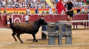 Exhibición de toros y vaquillas Oropesa