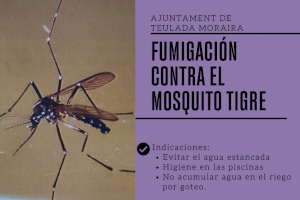 Teulada Moraira inicia la fumigación contra el mosquito tigre