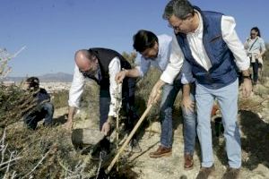 El Ayuntamiento adjudica por vez primera la conservación de las áreas forestales de Alicante