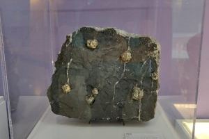 Los minerales y minas de València llegan al Museo de Ciencias Naturales del Ayuntamiento