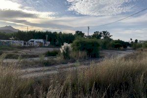 Zona de matolls de la platja de Gandia on es va trobar diumenge passat el cadàver de l'home espanyol 