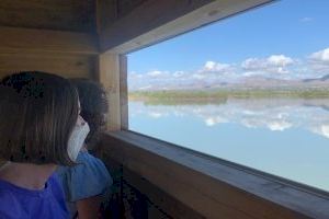 El parque natural de El Hondo estrena un observatorio de aves