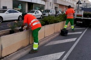 400  plantes per a l'Avinguda Juan Alvado i el Camí de l´Algar