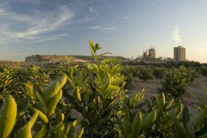 CEMEX asume el compromiso de la UE de reducir sus emisiones de CO2 al menos en un 55% para 2030