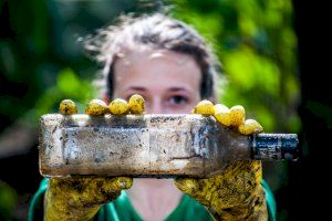 Iberdrola involucra a 4.000 empleados el Día del Voluntariado, adaptado a las condiciones de la COVID-19