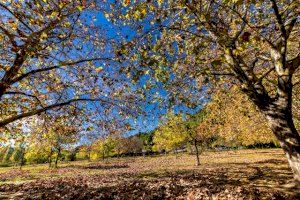 Tuéjar pone en marcha una nueva edición de su 'Otoño Cultural' con actividades para todos los públicos