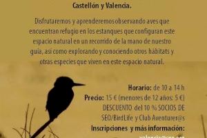 Seo Birdlife organitza un passeig en família per la marjal d'Almenara per a commemorar el Dia de les Aus