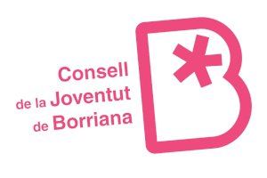 El Consell de la Joventut inicia la seua roda de contactes