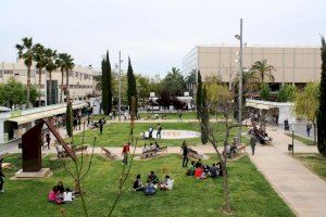 Els ingressos de les universitats públiques valencianes segueixen per davall de 2008, malgrat que els recursos propis eleven el seu pes i ja suposen el 21,3% del total