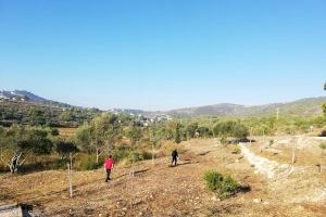 Siete personas desempleadas limpiarán durante seis meses los caminos y zonas verdes de El Poble Nou de Benitatxell