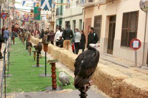 Almassora suspende la Gala del Deporte Local y la Feria Medieval por el riesgo de contagio de COVID