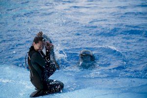 El Oceanogràfic ofrece un 20% de descuento de la entrada en noviembre