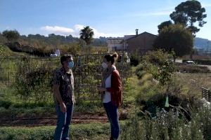 Veïns d'Alzira es formen en agricultura ecològica i sostenible
