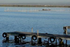 Giner exigeix a Ribó frenar el desastre mediambiental que s'està produint en l'Albufera