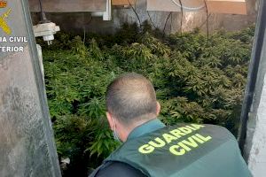 La Guardia Civil detiene a 4 personas que se dedicaban al tráfico y cultivo de drogas en diversas localidades de Valencia