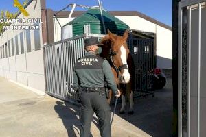 La Guardia Civil de Valencia detiene a 21 miembros de una organización criminal que se dedicaba al tráfico de drogas a nivel nacional