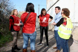 Castelló col·labora amb les cures i tractaments veterinaris de 226 felins