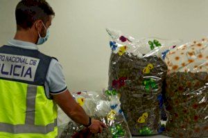 Detenidas ocho personas en Alicante por tráfico de drogas en Navidad