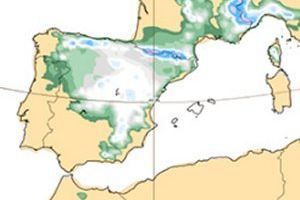 La concejalía de  Bienestar Social ha puesto en marcha desde el pasado 6 de enero un dispositivo ante la llegada de la borrasca "Filomena"