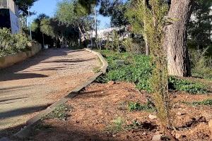 El equipo de la Concejalía de Medio Ambiente de Godella replanta el jardín del sector 22