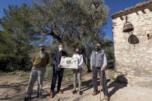 La Diputación celebra el Día del Árbol en Suera con la puesta en valor de ‘el olivo de la Campana’