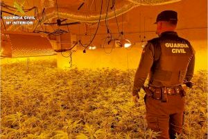 Descubren en un chalé de Calpe un campo con más de mil plantas de marihuana