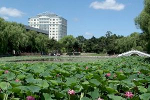 L’Institut Confuci de la Universitat de  València organitza un campament d’hivern