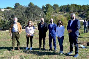 Calp celebra el Día del Árbol con la plantación de 120 ejemplares en el Jardín Botánico