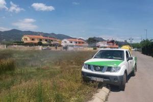 Benicàssim programa tratamientos contra mosquitos tras las lluvias