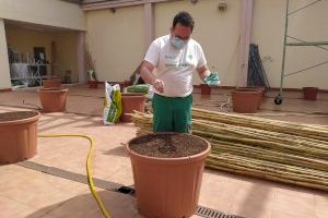 Bétera siembra sus tradicionales alfàbegues