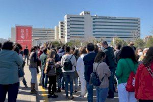 Sanitat vacunarà 145.000 docents valencians des d'aquest divendres en quatre dies