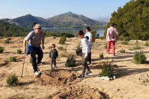 El Ayuntamiento de la Vila celebrará el Día del Árbol con una plantación de árboles en la partida La Robella