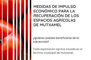 Apertura del plazo de presentación de solicitudes para la subvención de ayudas a agricultores de Mutxamel