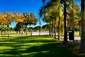 La UPV es la universidad española con mayor impacto social y económico