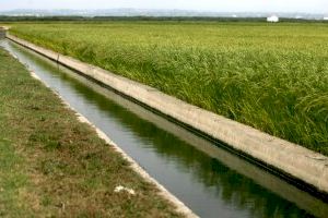 Los agricultores valencianos urgen al Gobierno a publicar de manera inmediata la rebaja de módulos del IRPF