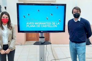 La Diputación de Castellón celebra el Día Mundial de las Aves Migratorias de la mano del Grup Au