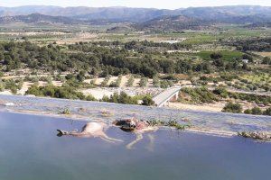 Aparecen cuatro zorros ahogados en una balsa de riego en Sagunto