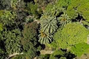 El Jardí Botànic celebra el Dia del Medi Ambient amb un programa sobre clima, alimentació saludable i renaturalització