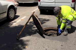 València aconsegueix que la presència de panderoles siga mínima a la ciutat i manté a ratlla els mosquits