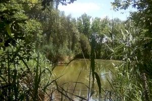 El Ayuntamiento de València ha efectuado la limpieza del lago del Parc de Marxalenes y las fuentes del Parc Central