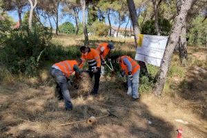 30 personas contratadas durante el verano para labores de prevención y limpieza contra incendios en barrancos y el Vedat