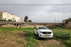 Burriana continúa en agosto con el tercer tratamiento intensivo antimosquitos