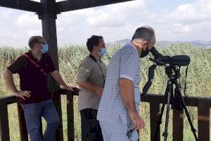 Transició Ecològica activa les mesures per a revertir els efectes de les aigües anòxiques en la Marjal dels Moros