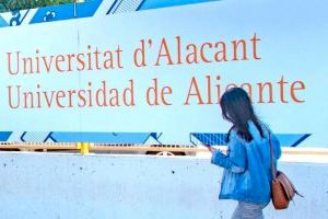 El Ayuntamiento de Benidorm prestará el servicio de transporte al campus de Sant Vicent de la UA y bonificará parte del viaje al alumnado