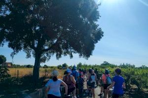 Castelló organiza una ruta ciclista en la Marjaleria para realzar su riqueza ambiental y su importancia ecosistémica